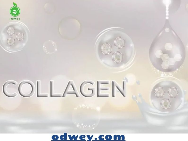 الكولاجين للمفاصل