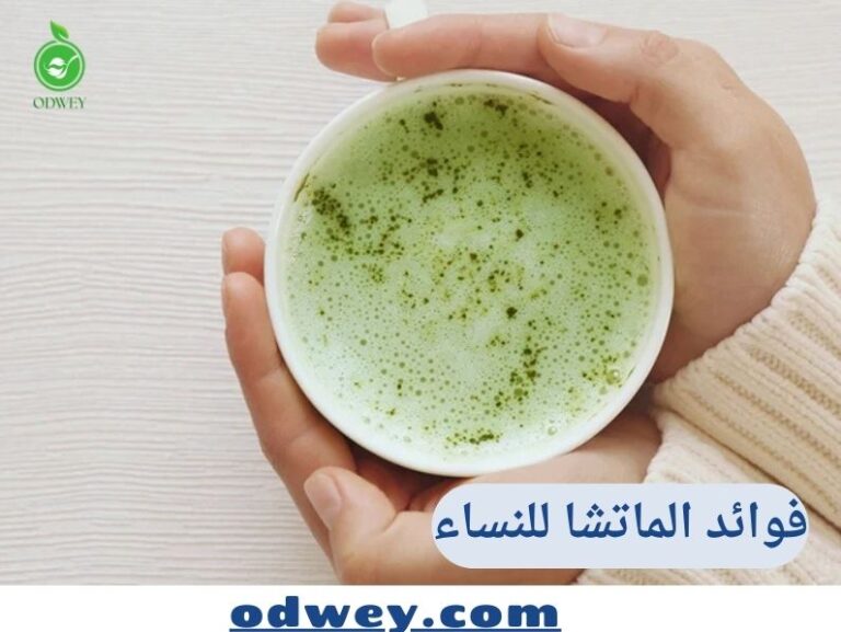 فوائد الماتشا للنساء