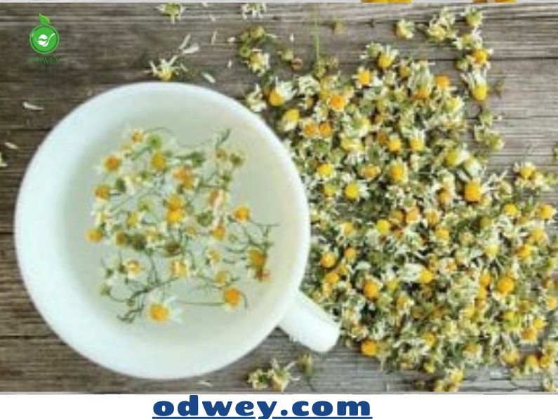 فوائد البابونج للنوم