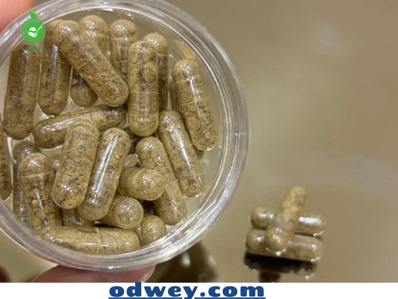 كبسولات القسط الهندي