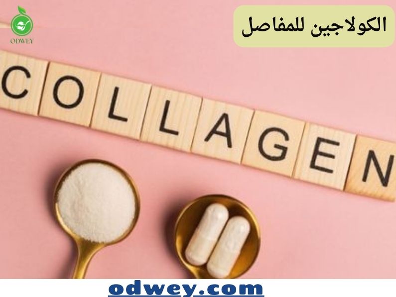 الكولاجين للمفاصل