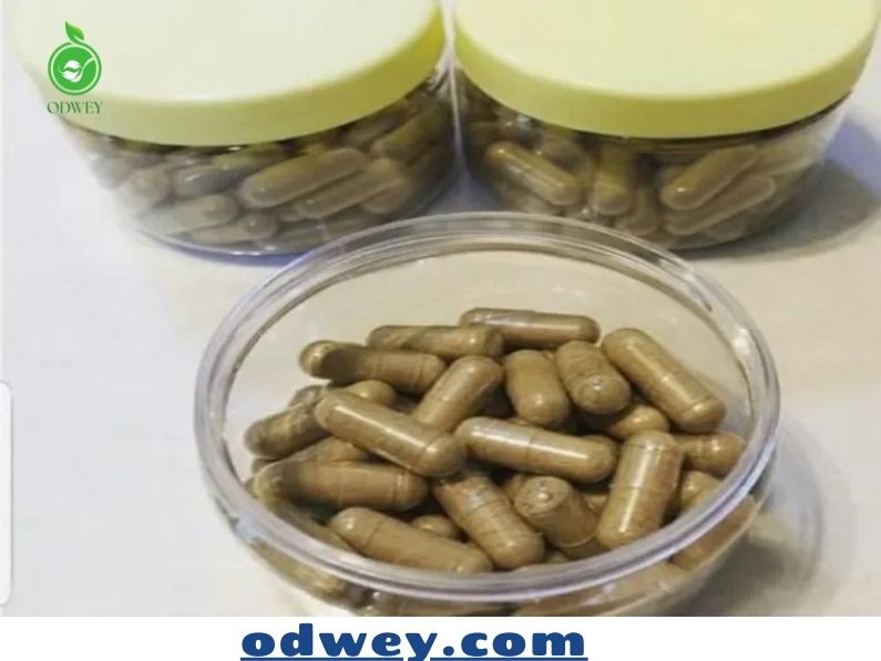 كبسولات القسط الهندي