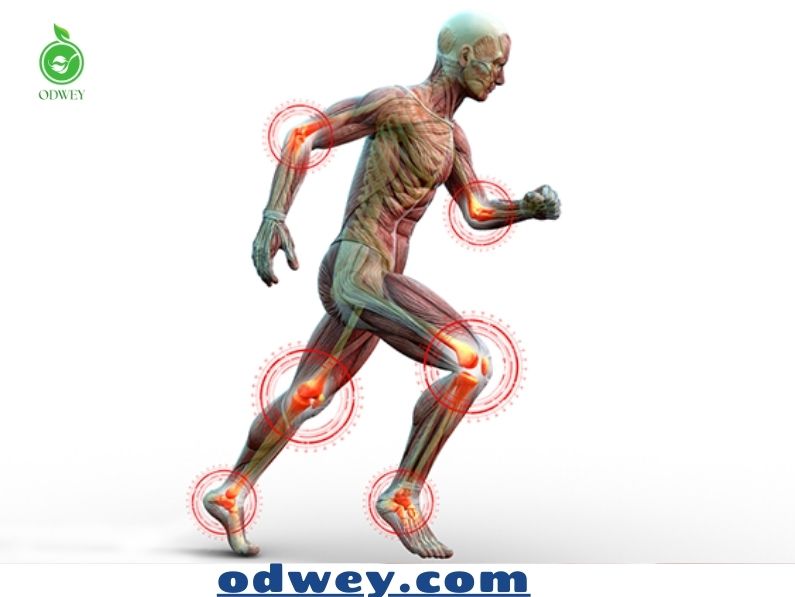 الكولاجين للمفاصل